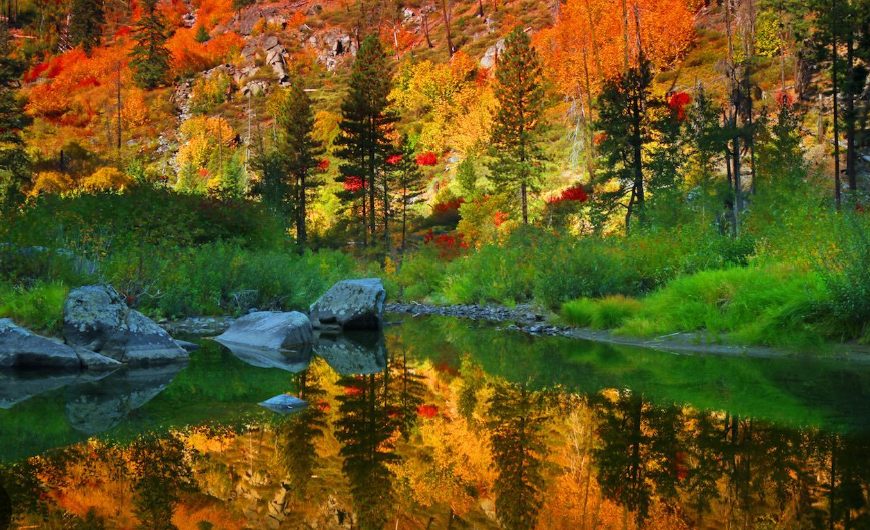 Fall color reflected in the Wenatchee River